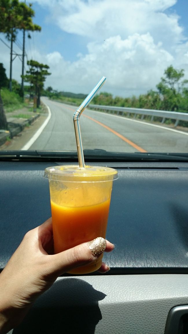 同時に買ったマンゴージュースお値段500円。なかなかいい値段するなぁ…と思ったものの、車に戻って一口口にして納得。「なんだこれ！ウマーー！！」一言でいうと超濃厚。あまーいマンゴー100%！ケチって買わなかった夫も買えば良かった…と後悔したほど。