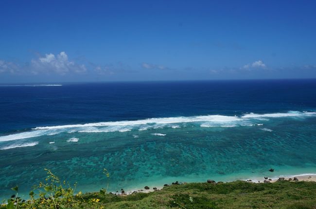 遠くからでも珊瑚がよく見えます。