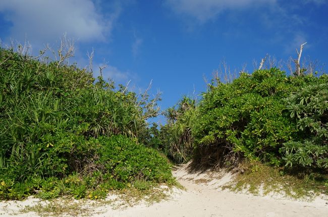 こんな感じで日陰は皆無です。