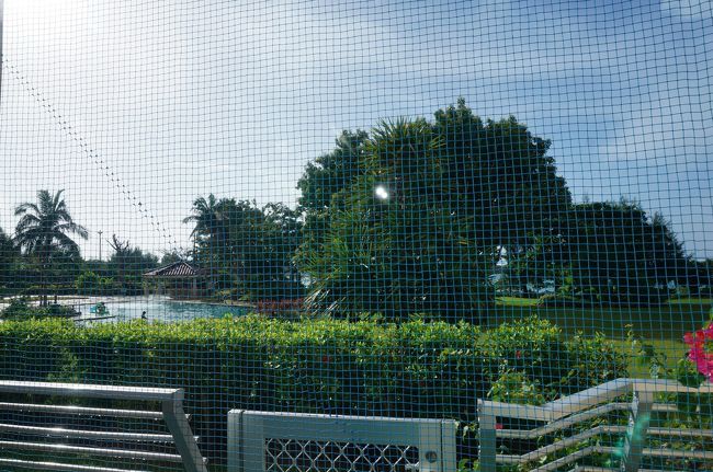 二日目も朝は晴れ！午後に台風上陸予定なので早くから動かないと！