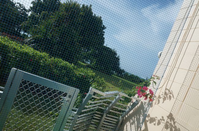 台風対策でネット張られてます。