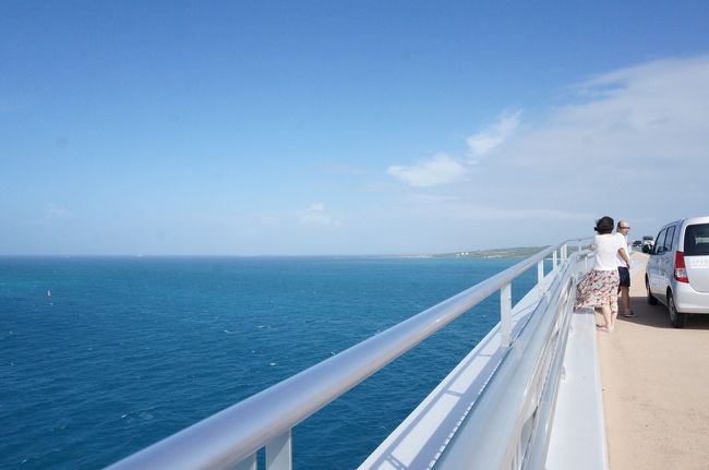 途中、駐車できるスポットもあります。