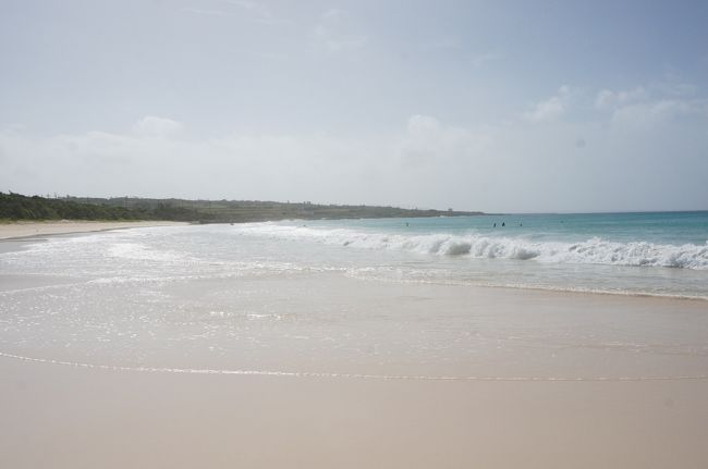 台風で波が高かったのでサーフィンを楽しむ人が多数いましたよ