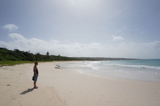 次はここでのんびり泳ぐぞ