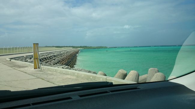 本当にキレイです。