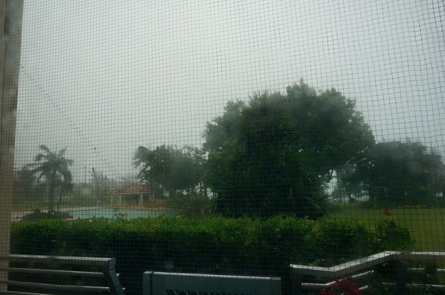 もう外は出れない。。