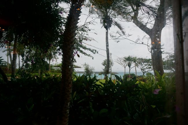 翌朝。風は強いけど雨は弱まったかな？