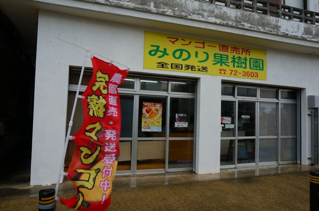 お土産用のマンゴーを買いに直売所へ！台風直後だった為とってもお安くしていただきました。