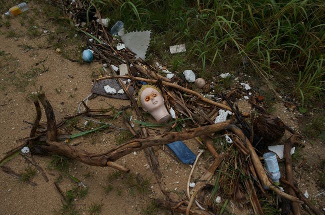 嵐の後。マネキンの首が怖すぎ