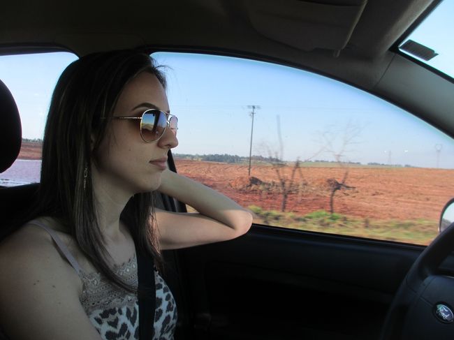 涼しい顔での運転にコチラも心地好い