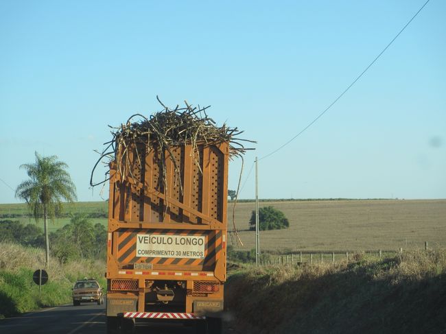 カーナ（サトウキビ）満載の３連トレーラー<br /><br />全長３０ｍで１００トンを運ぶ！