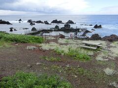 仙法志御崎公園のアザラシ飼育場
アザラシが泳いでいました。