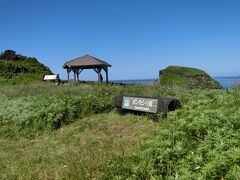 富士野園地
オレンジのエゾカンゾウが大量に咲くそうだが、
もう終わりで少しだけ咲いていました。