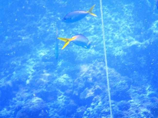 そして後半２本目<br />やっぱり師匠について<br />最初にダイブさせてもらいます