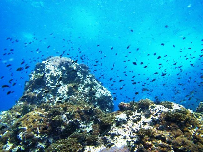 もっと深く潜ります