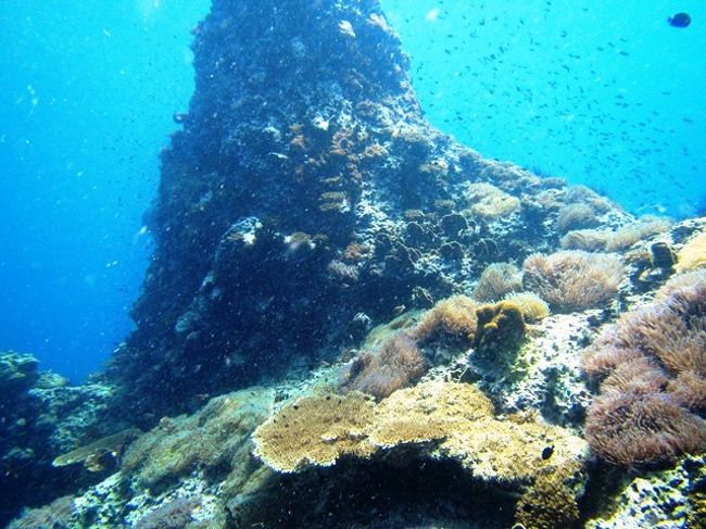 遠くで湧いてるなぁ〜<br /><br />なんて眺めてると・・・