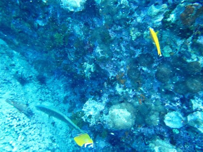 アマさんの腹の下の方で<br />ダンスしてました