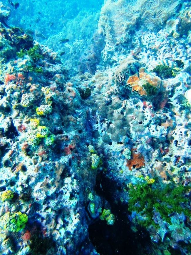 どこ行ったかな?