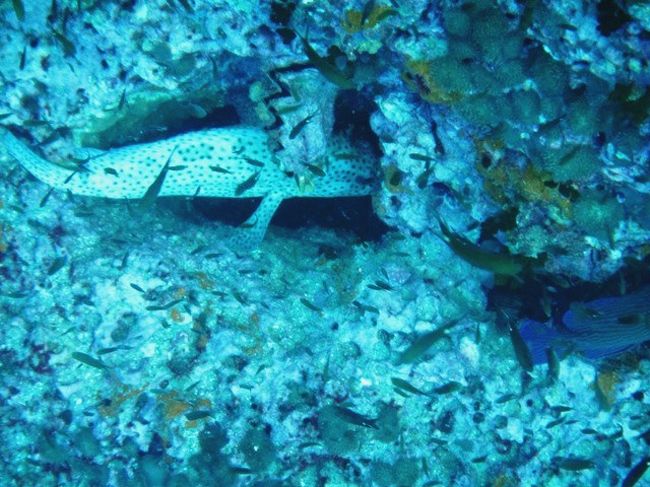 み〜つけた(^_-)-☆<br />頭隠して尻隠さずじゃん（笑）