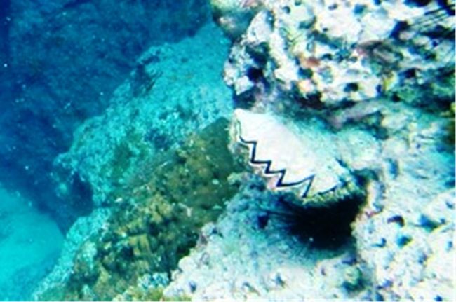 挟まれたら<br />痛そうですね