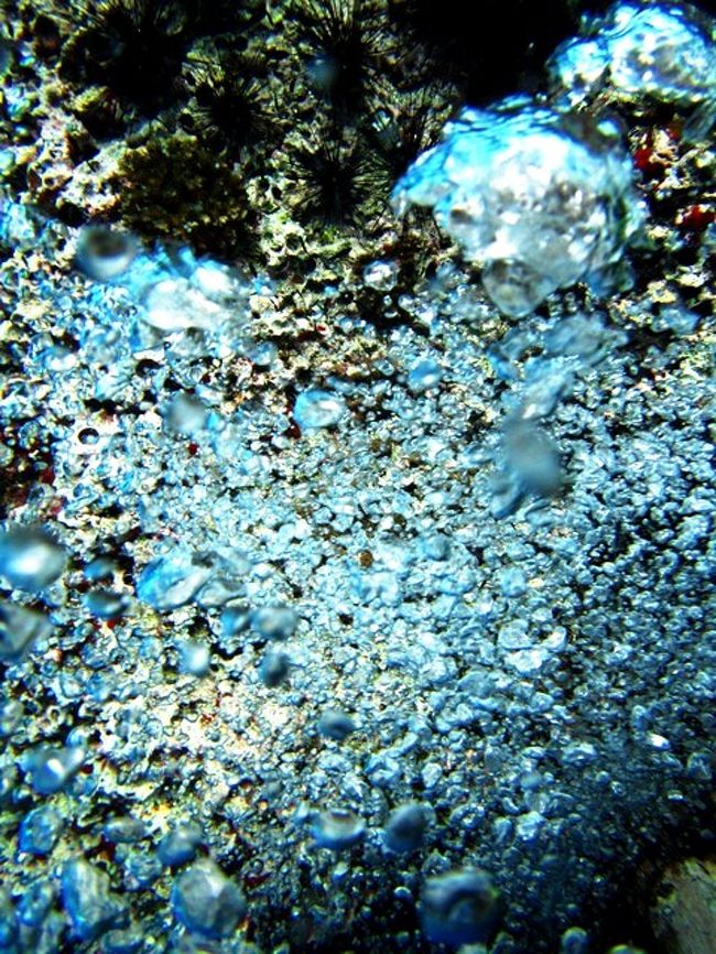 題名「気泡乱舞」