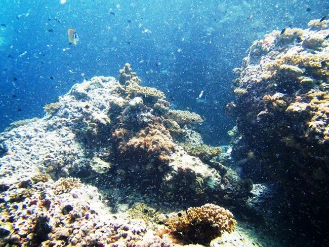 なんか凄いことなってます<br />ウジャウジャ居ますよ