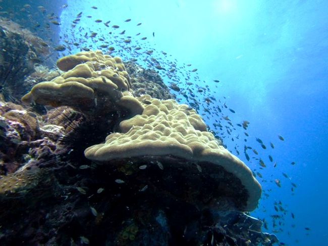 こんな感じなんでよ