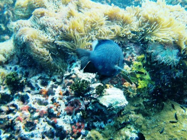 顔を見せずに立ち去って行きましたよ