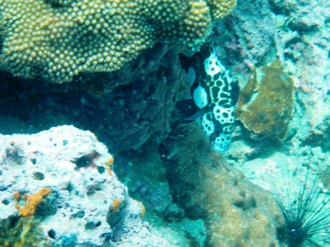 出てこないかと<br />しばらく観察です