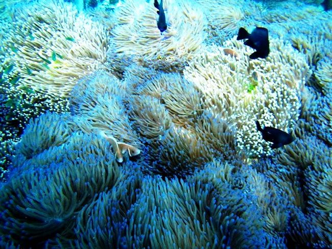 ペアで顔出してます<br />(*^_^*)