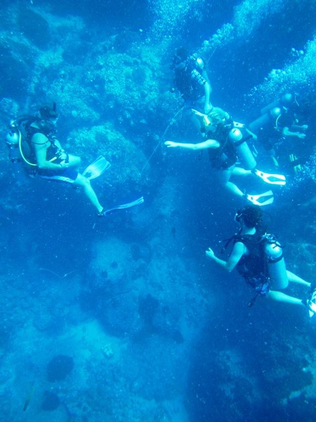 ベテランさんも張り切ってます