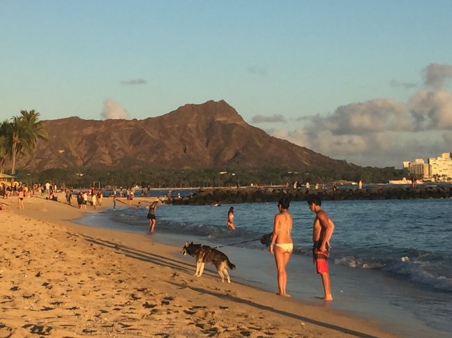 なんとか病気もせずに、無事に前半を終了できました。