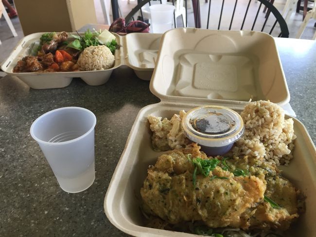 パイオニアサルーンのプレートランチがおいしかったので、ハワイ在住の知り合いにカカアコキッチンに連れて行ってもらいました。<br /><br />今度はフリカケマヒマヒ？(Cat Fish)10数ドル。これもおいしかったです。ポン酢をかけるようになっていましたが、なくても十分おいしかったです。<br /><br />このあたりから、だんだん胃が大きくなってきたんでしょう。つい全部食べきってしまいました。おいしかったせいもあるんでしょうが。<br />帰りに目の前ノードストロームラックでUGGのプラットフォームサンダルを70ドルでゲットしました。