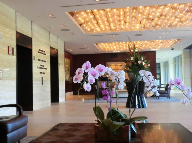 ようやく休みが取れてパパが合流しました。