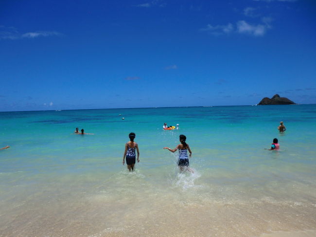 早速泳ぎます。