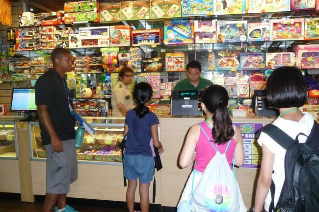 ジャングルファンで