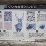 北海道の世界自然遺産（３）