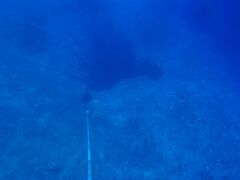 ハヤブサはアプラ湾を横断する感じで外洋に出て、すぐブルーホールのブイに到着。

アンカーロープをつないでエントリータイム。
水面から見下ろすブルーホール。
ハヤブサでポイント一番乗りのため、透明度も良いです（*´▽｀）