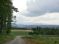 麓郷展望台の途中、後ろを振り向いた眺望♪
娘たちはアンパンマンショップでお遊び・・・わたし一人でテクテク

標高５００ｍの冷涼な環境にあるため、開花の時期は市内よりも７〜１０日ほど遅れ、長い期間キレイな花々を観賞する事が出来ます。