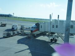 宮古島から那覇空港に到着。
今回の機材は、懐かしくて可愛らしいSWAL機。