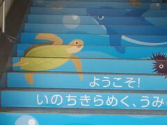 中野栄駅に到着。

駅に、仙台うみの杜水族館の看板も案内もなく、ほんとにこの駅でいいのかな？
と不安でしたが、階段に絵が描かれていてほっとしました。

荷物はリュックと帆布のバックに分散してありますが、駅のロッカーは大小合わせても１０個しかなく開いていません。
駅の外にもなし。水族館への案内もないので、改札の人にどうやっていくのか聞くと、左に出るとロータリーに送迎バスが来ると教えてくれました。
