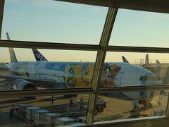 今日はこいつからスタートです。ポケモンです。