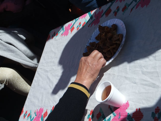 船上で出されたドライアンズ。<br />ここで食べたのが一番おいしかった。