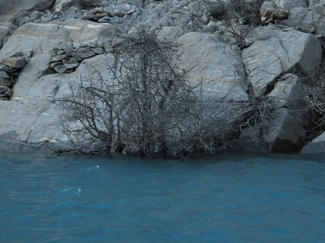 この湖、年々水位が減ってきており、来年あたりは船が往来するのは深度的に難しくなるかもしれない、とのこと。<br />実は、湖の中に村も沈んでいて、杏やポプラの枝が水面から生えている場所がある。<br />現在も村人は高地に避難している。<br /><br />