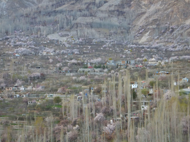 ホテルの裏側にある道からの風景。<br />夕暮れに対応できないカメラなため、コントラストがはっきりしなくて残念だけれど、本当に綺麗。