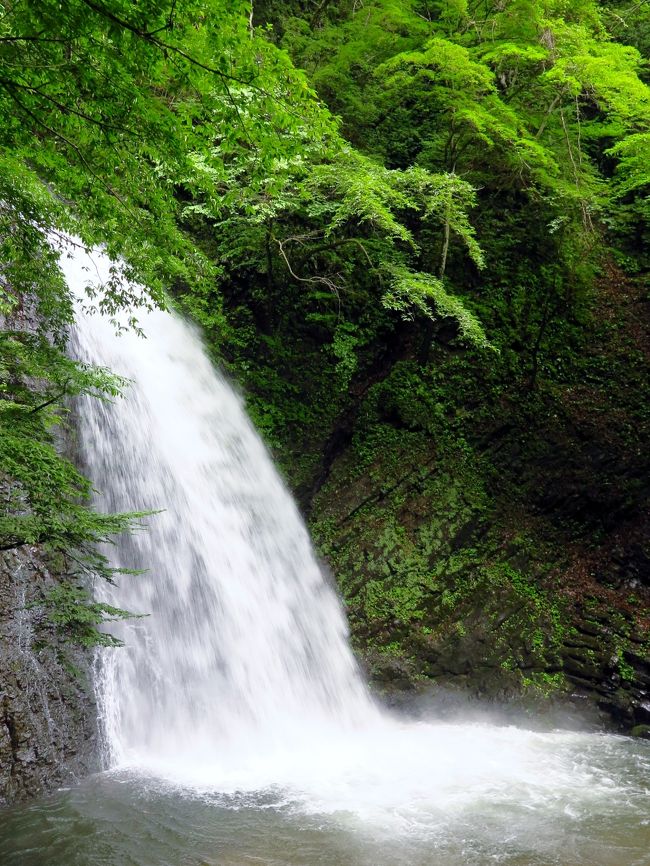 中之条4/4 大仙の滝 落差20m/巨大な滝壺 ☆仙郷/世立八滝の一