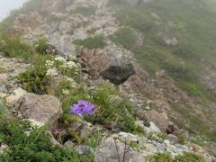 唐松岳に向かう登山道