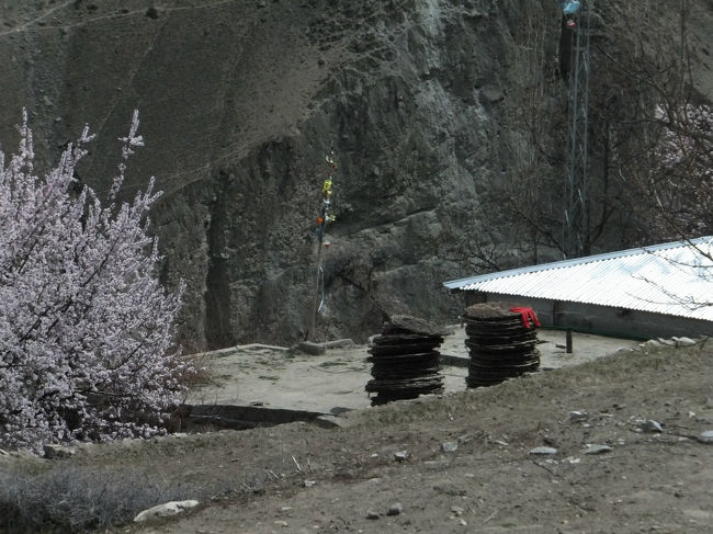 途中、家々に積まれた大きなザルは、収穫したアンズの実を干すのに使うもの。<br />これにアンズを並べて、そのザルを屋根に並べてドライアンズを作る。<br />収穫後はここ一帯の屋根がオレンジ色になるとのこと。<br /><br />うーん、その景色、とても見たい。<br /><br />