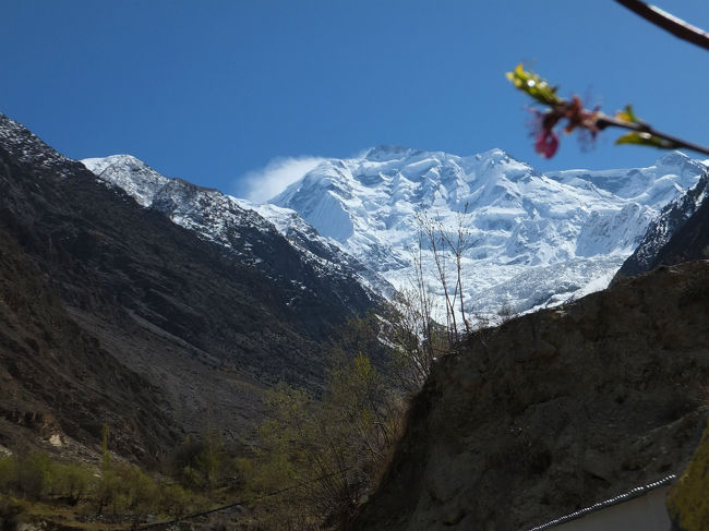 3日前は見えなかったラカポシの頂上も、この日は快晴でくっきりハッキリ見えた。<br />ただし、3日前にはまだ咲いていた花は、散っていた。<br /><br />これから季節はどんどん雪解けにむかい、このすぐ側を流れる川となるそうだ。
