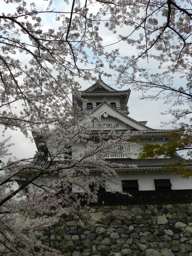 長浜豊公園 長浜城 の桜は満開でした 遅めの桜を求めて滋賀県北部へ その3 長浜 滋賀県 の旅行記 ブログ By Joecoolさん フォートラベル 長浜豊公園 長浜城 の桜は満開でした 遅めの桜を求めて滋賀県北部へ その3 長浜 滋賀県 の旅行記 ブログ By Joecoolさん フォートラベル